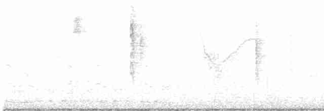 Paruline à calotte noire - ML535200911