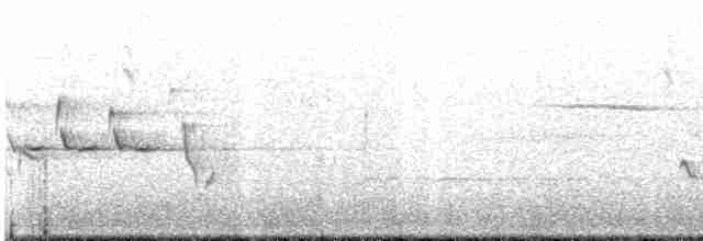 Bruant des pinèdes - ML535231591
