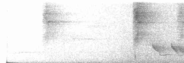 Kara Kulaklı Bityiyen - ML535238711