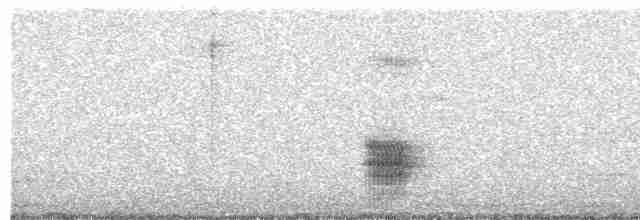 Black-tailed Tityra - ML535244871