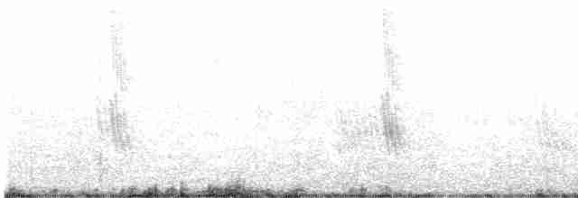 Güneyli Mor Kırlangıç - ML535286291