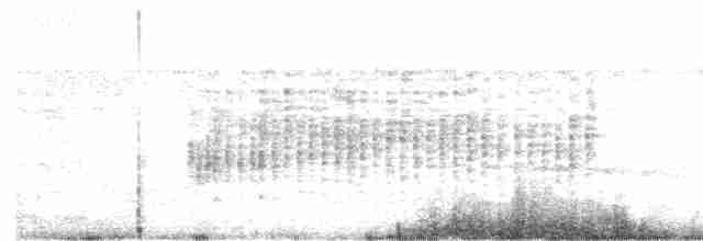 Черноголовый крапивник - ML535326361