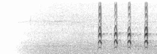  - Antarctic Tern (Antarctic)