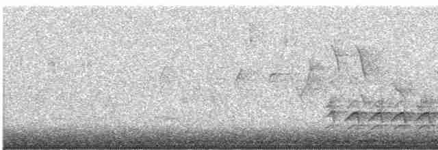 Weißbrustkleiber - ML535405081