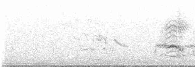 Мраморный чирок - ML535415021