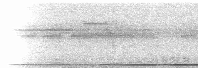  - West Peruvian Dove