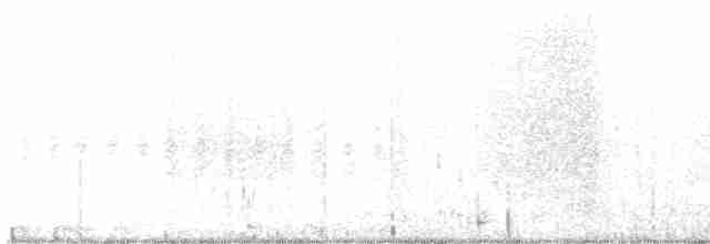 Kara Kuyruklu Bitkuşu - ML535456871