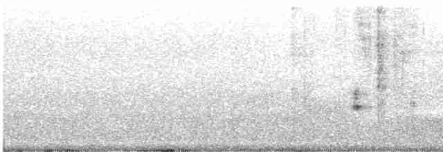 Australian Reed Warbler - ML535466071