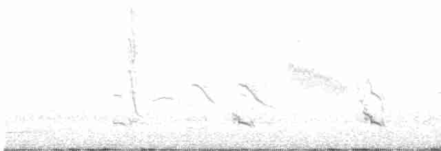Black-chested Buzzard-Eagle - ML535483851