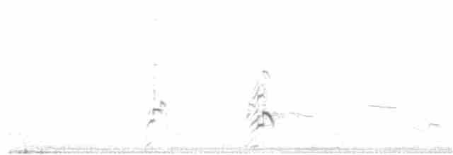 Braunhals-Säbelschnäbler - ML53550681