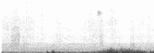 lesňáček černobílý - ML535511301