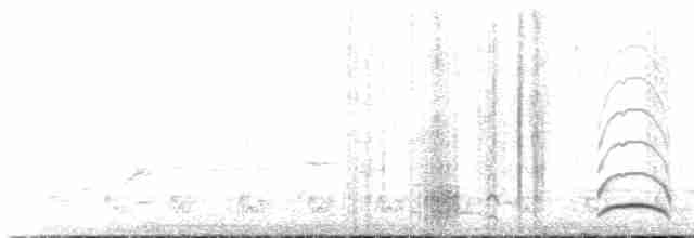 Russet-throated Puffbird - ML535584781
