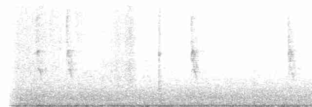 Troglodyte des forêts - ML535593811