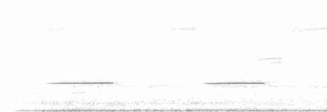 Карликовая котата - ML535619181