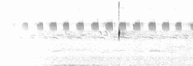  - Sickle-winged Nightjar