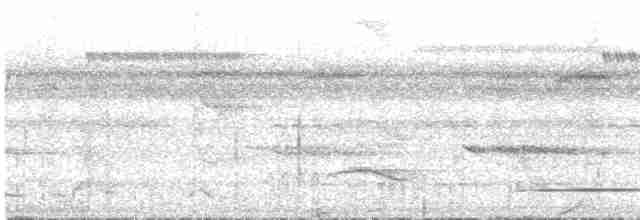 Spot-winged Antshrike - ML535663681