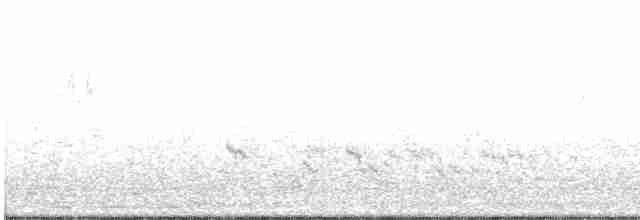 Eurasian Hoopoe (Eurasian) - ML53568561