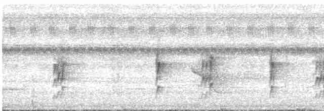 Тиранчик-мухолюб вохристий - ML535715301