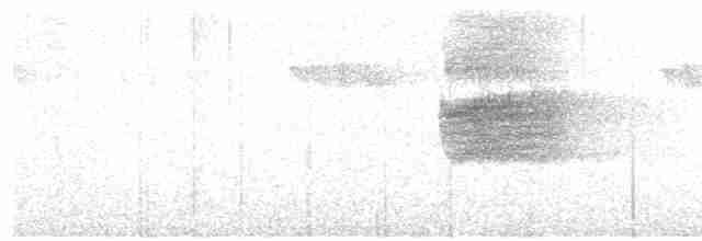 Вилохвістка білочуба - ML535752491