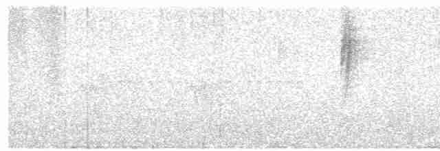 Траурная нектарница - ML535752621