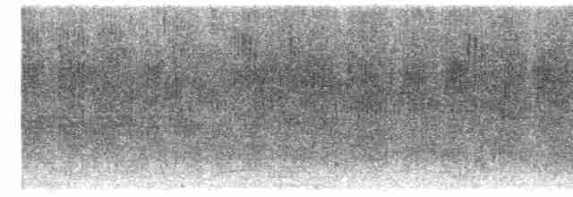 Çizgili Gerdanlı Kırlangıç - ML535760021