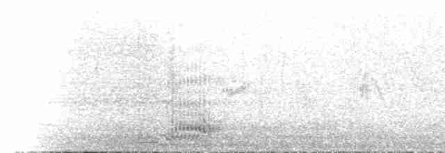 krkavec krátkoocasý - ML535763981