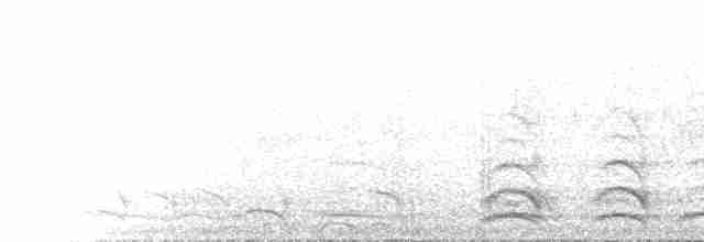 krkavec krátkoocasý - ML535764231
