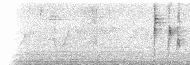 Зернолуск золотодзьобий - ML535771181