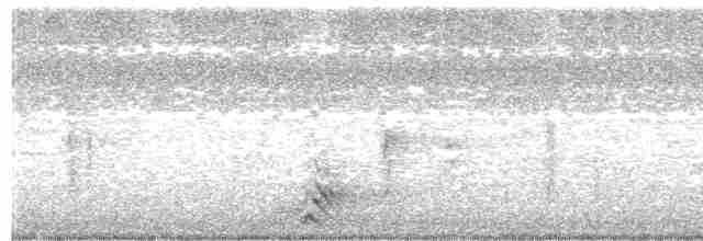Южноамериканский лапчатоног - ML535784981