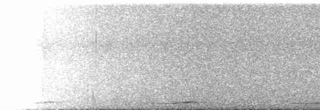 Сова-голконіг далекосхідна - ML535829151