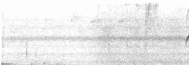 Тиран-карлик амазонійський - ML535861191
