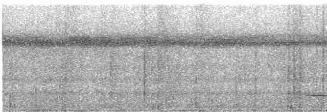 Variegated Tinamou - ML535867051
