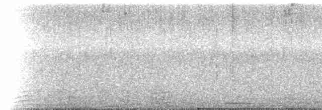 Kara Gerdanlı Çiçekdelen (brunneiventris) - ML535879301