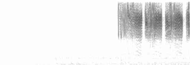  - Anna's Hummingbird