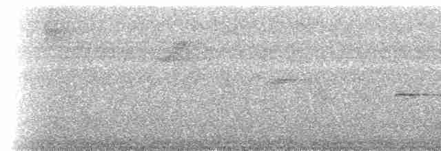 Rotschwanz-Ameisenvogel (hemimelaena) - ML535893241