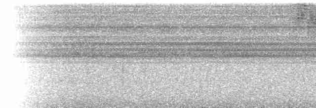 Gray-headed Kite - ML535896921