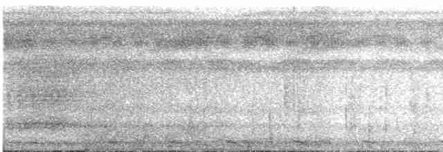Rostkappen-Ameisendrossel - ML535901631
