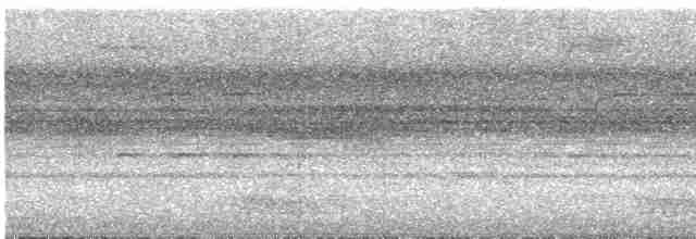 Brown Tinamou (Brown) - ML535905331