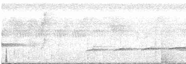 Филиппинская дронговая кукушка - ML535921561