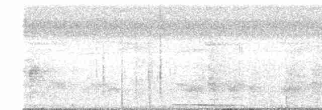 Борнейская воронья кукушка - ML535928181
