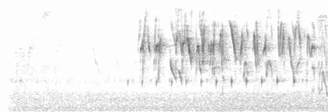 Kara Gerdanlı Çiçekdelen (brunneiventris) - ML535931441