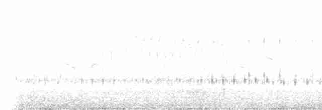 Grass Wren (Puna) - ML535931551