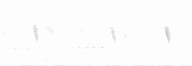 Puna Thistletail - ML535931621