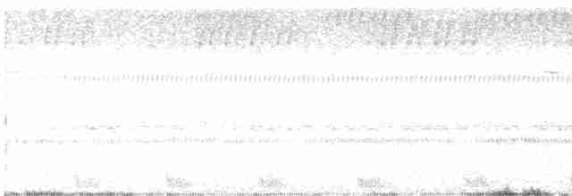 Large-tailed Nightjar - ML535944331