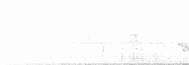 stripeedderkoppjeger - ML535946291