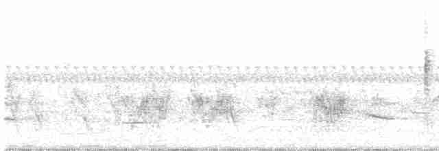Рододендровая широкохвостка - ML535989521