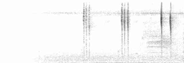  - Buff-bellied Hummingbird (Yucatan)