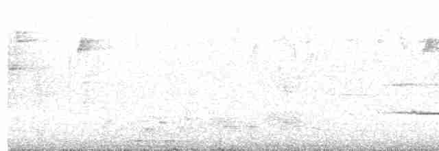 Brownish-flanked Bush Warbler - ML536019771