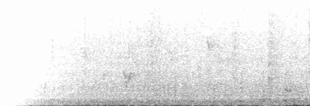 orebice černohlavá - ML536036561