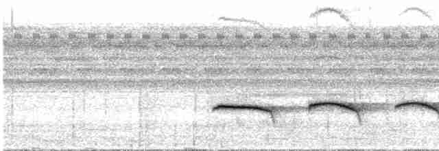 Schwarzschnabel-Ameisenvogel - ML536055351